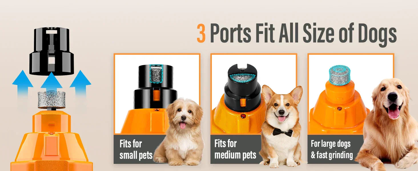 Electric Dog Nail Grinder | 6 Speeds | Ultra Quiet & Rechargeable | Painless Grooming